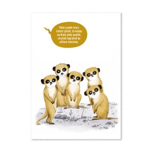 Pupíci: sada 4 pohledů s ilustracemi