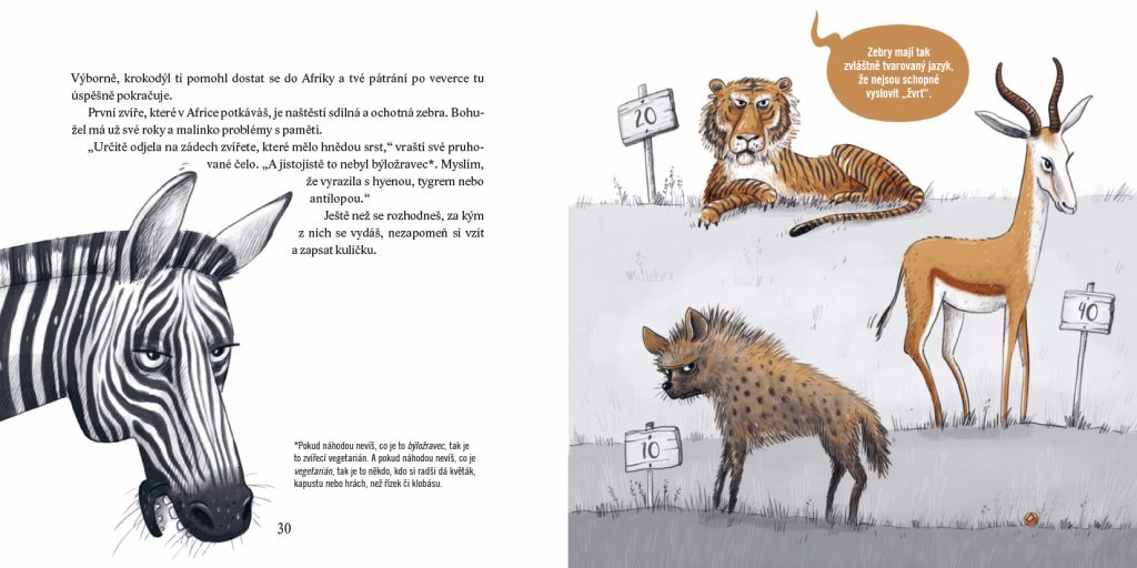 Pupíci – zebra