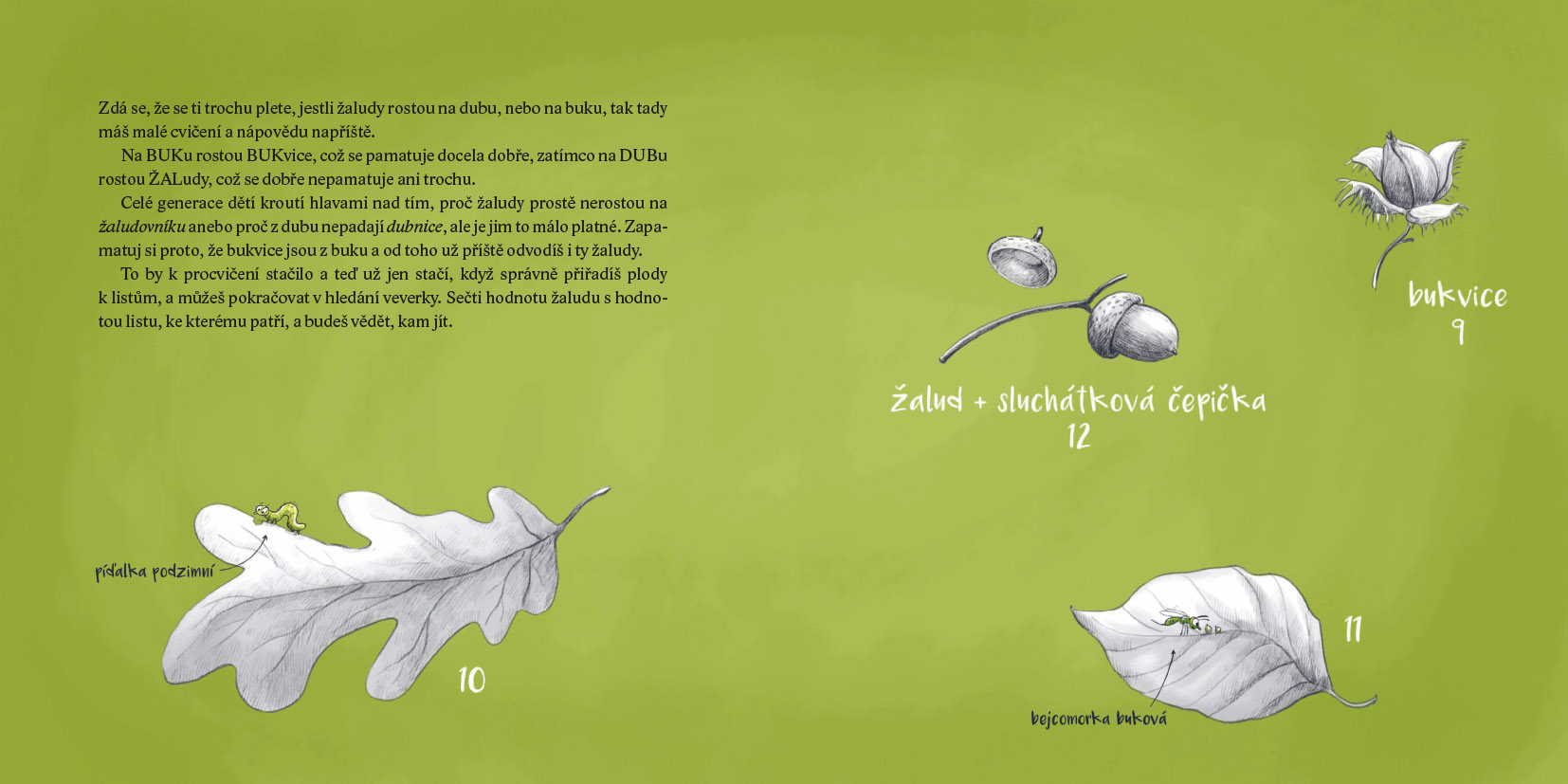 Pupíci - zelená